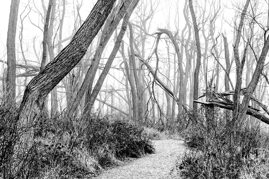 Destruction in Black and White Photograph by Joni Eskridge