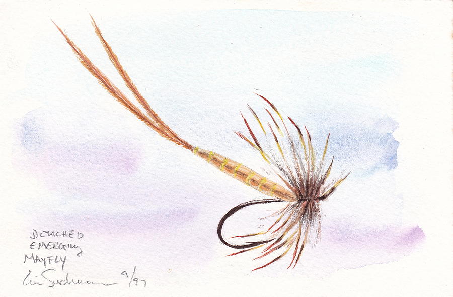 Detached Emerger Mayfly Painting by Eric Suchman