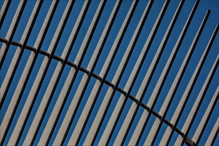 Detail Oculus Building Lower Manhattan Photograph by Robert Ullmann