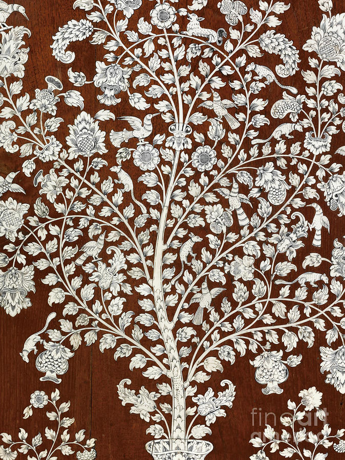 Detail of a vintage botanical pattern Photograph by Anglo Indian School
