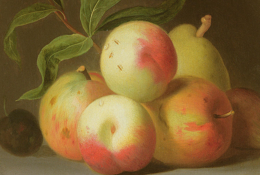 Apple Painting - Detail of Apples on a Shelf by Jakob Bogdany