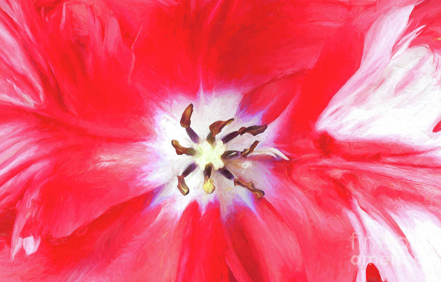 Detail of Estella Rijnveld Parrot Tulip Digital Art by Liz Leyden