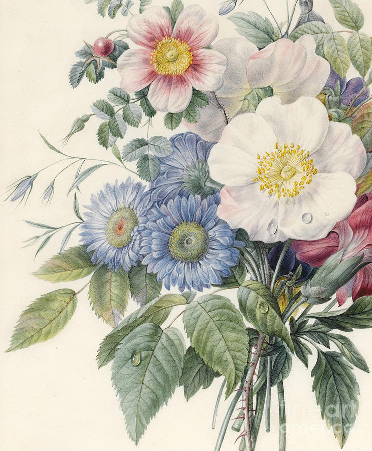 Detail of Flowers Painting by Eugene A L d'Orleans Fine Art America