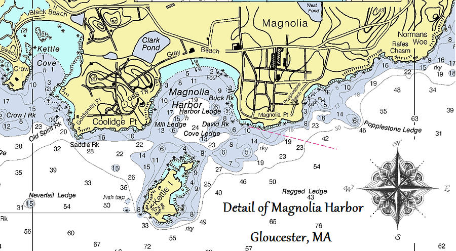 Detail of Magnolia Harbor by Jeannine Selig Detail of Magnolia Harbor by Jeannine Selig