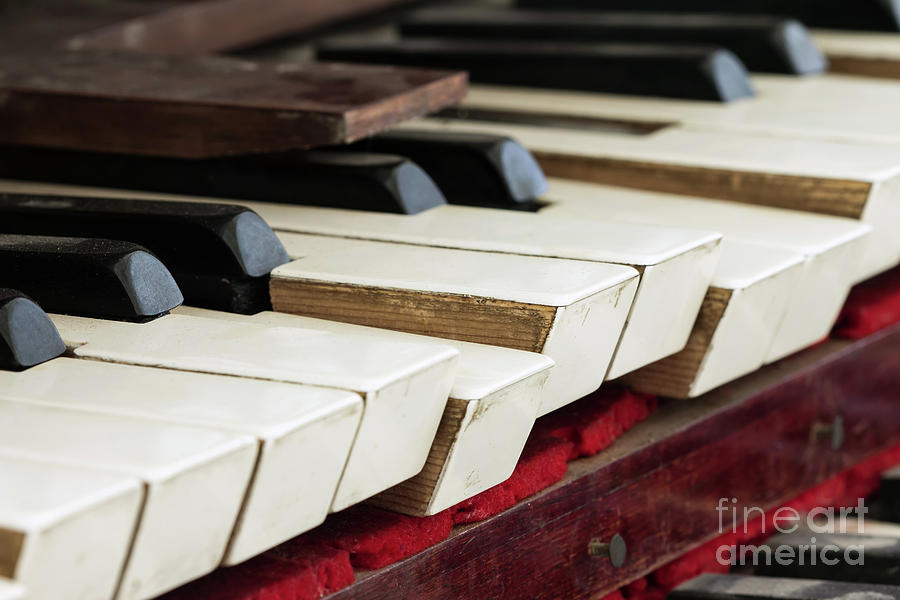 Detail of old, broken and dusty organ keys Photograph by Michal Boubin