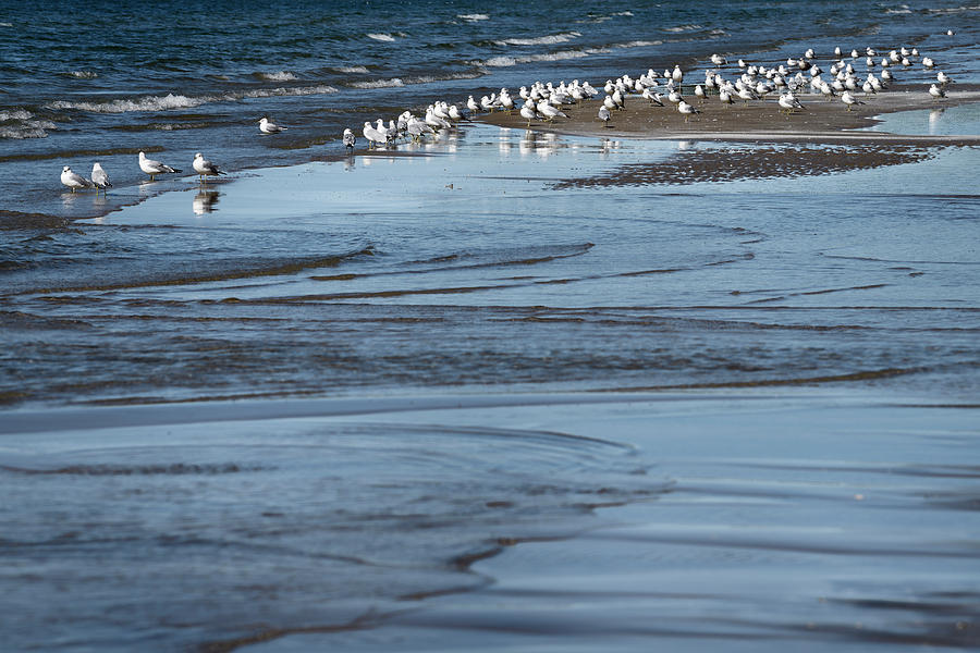 Detail of pool tide sandbar waves at Outlet Beach of Sandbanks P ...