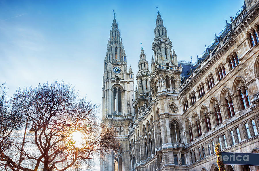 detail of Rathaus of Vienna during winter Christmas market Photograph by Ariadna De Raadt