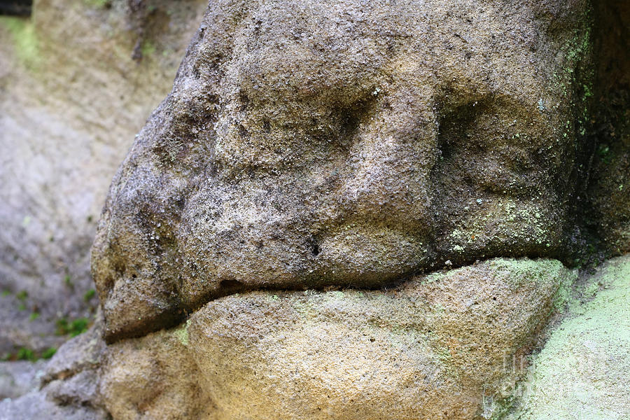 Detail of the stone head Photograph by Michal Boubin