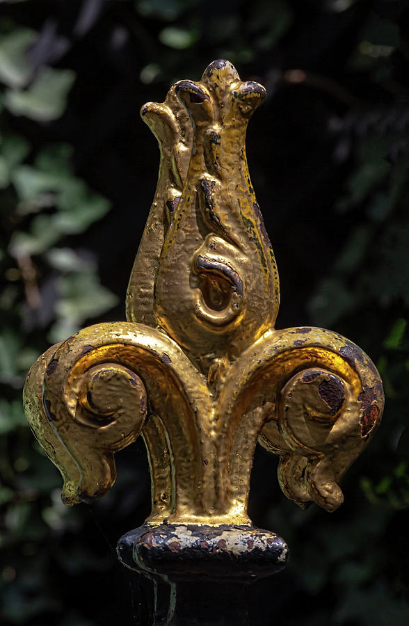 Detail - Wrought Iron Fence Photograph by Robert Ullmann