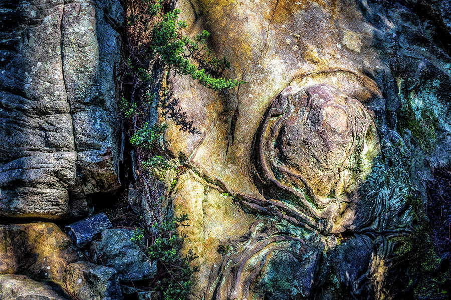 Details in the Rock Photograph by James Barber