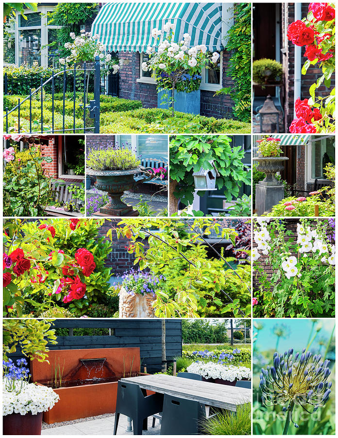 Details Of Summer Dutch Gardens, Collage  Photograph by Ariadna De Raadt