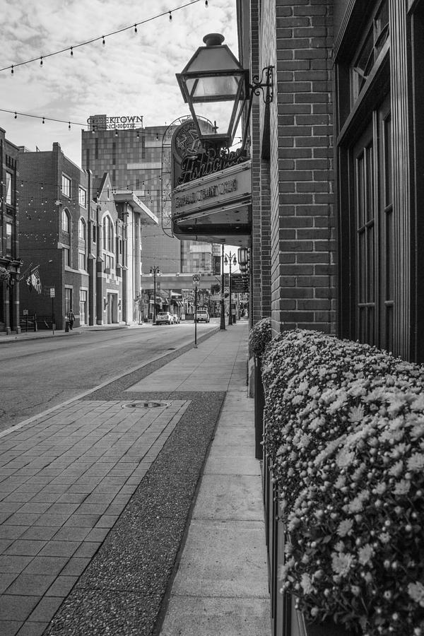 Detroit Grrektown Flowers Black and White  Photograph by John McGraw