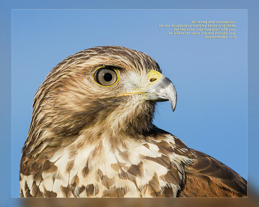 Jesus Christ Photograph - Deuteronomy 31 6 by Dawn Currie