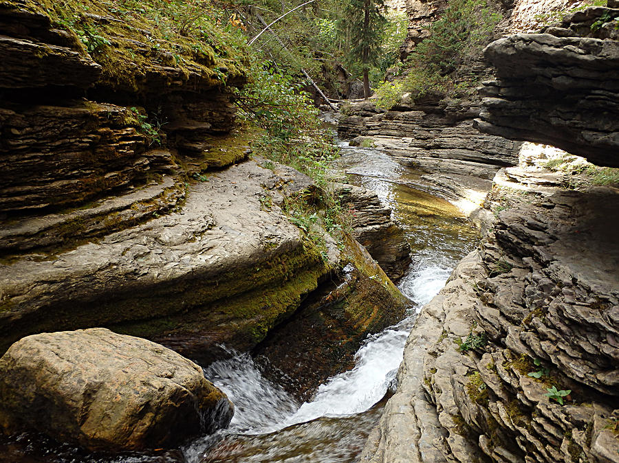 Devil's Bathtub- A Hidden Hike in The Black Hills, Spearfish Canyon