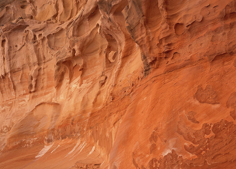Devils Canyon Wall Photograph by Tom Daniel