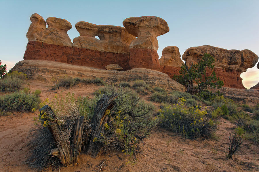Devils Garden Hoodoo Sentinels At Dusk Photograph by Angelo Marcialis
