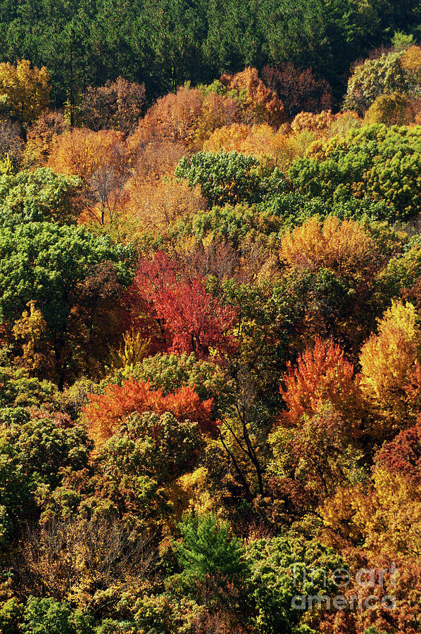 Fall at Devils Lake State Park in Wisconsin, USA Photograph by Ralf ...