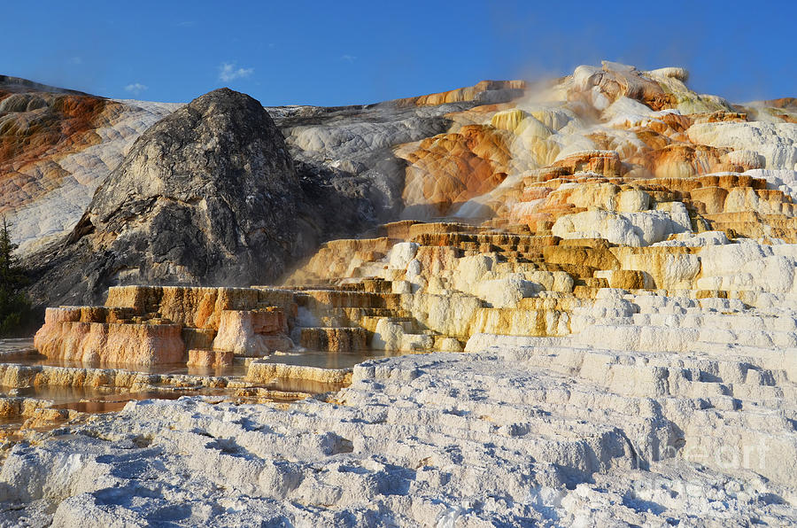 Devils Thumb Formation Mammoth Hot Springs Yellowstone National Park Photograph by Shawn OBrien