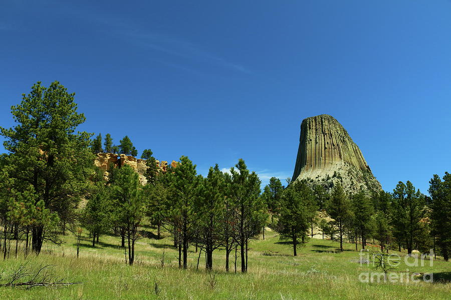 Devils Tower An Unusual Rockformation Photograph by Christiane Schulze Art And Photography