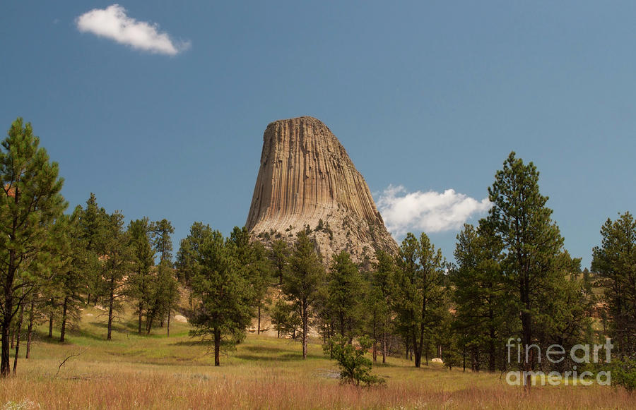 Devils Tower and Trees Photograph by Julia McHugh