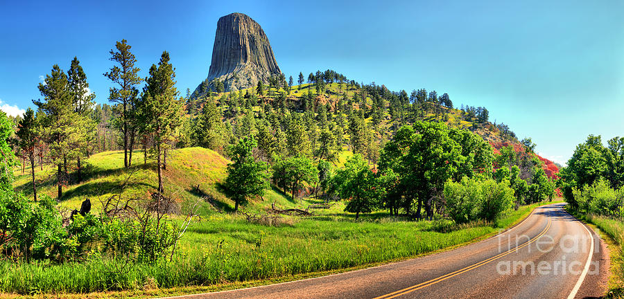 Devils Tower Curve Photograph by Adam Jewell