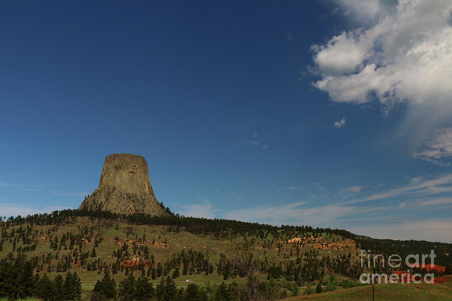 Tree Photograph - Devils Tower In  Bear Lodge Mountains  by Christiane Schulze Art And Photography