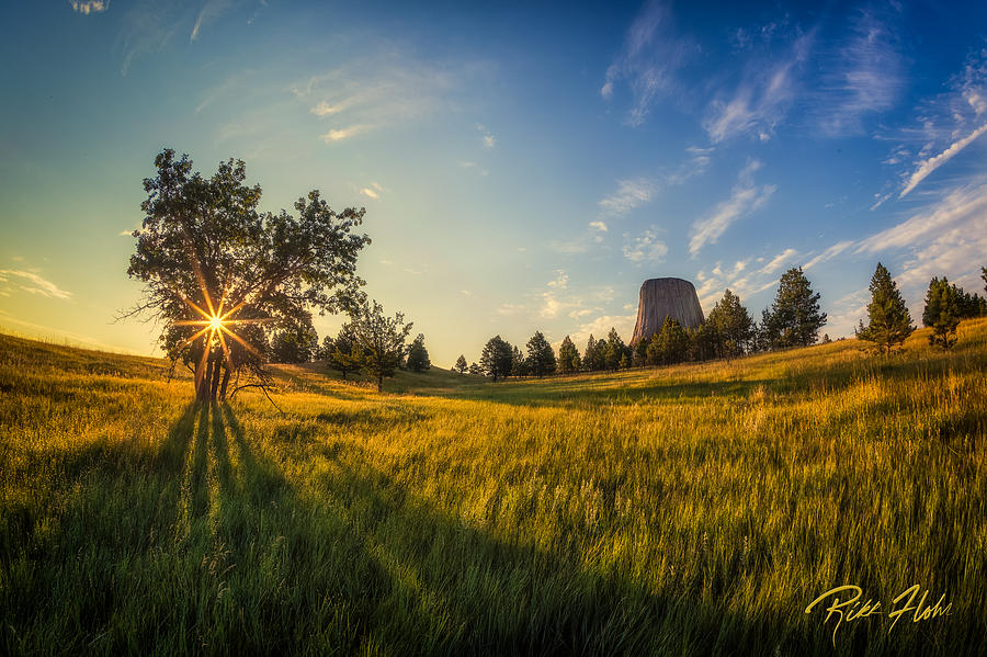 Devils Tower in the Early Morning Photograph by Rikk Flohr