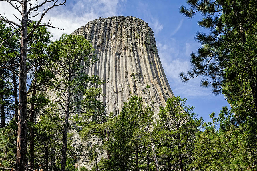 Devils Tower National Monument Wyoming  -  DEVTOW013 Photograph by Frank J Benz