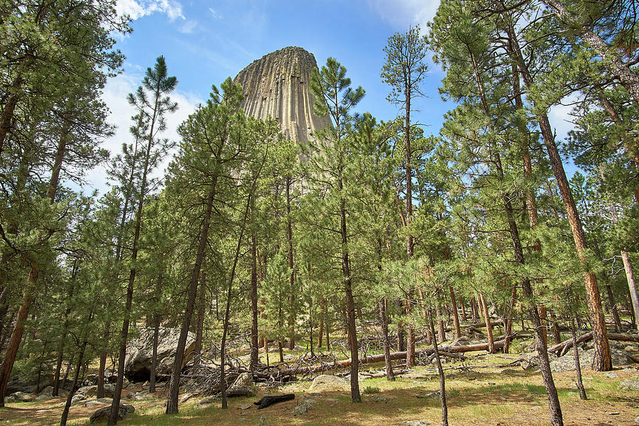 Devils Tower National Monument, Wyoming Photograph by Jim Hughes
