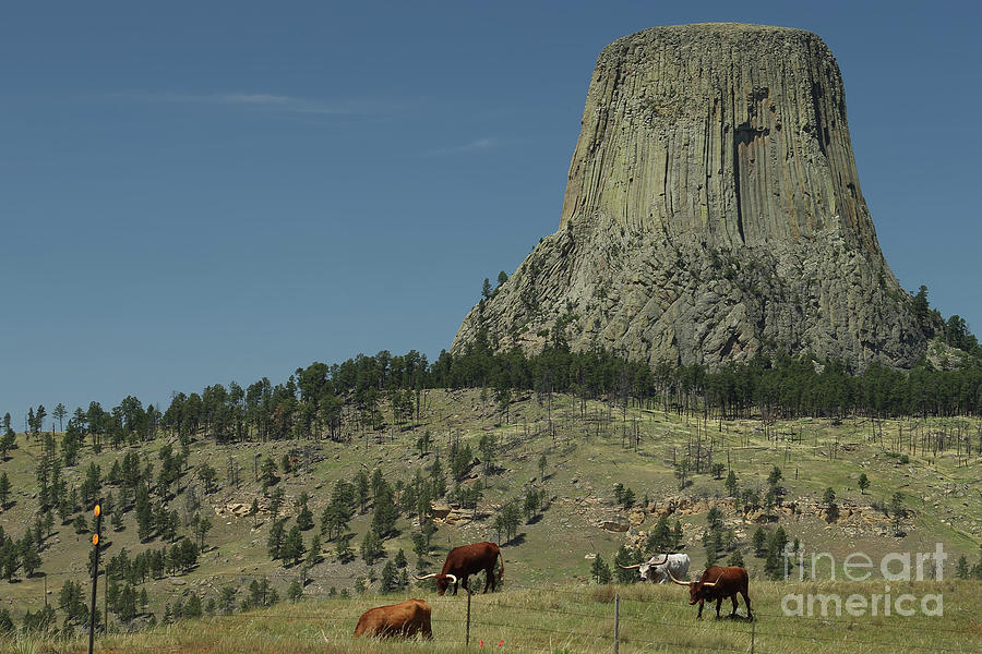 Mountain Photograph - Devils Tower by Rick Mann Mountain Photograph - Devils Tower by Rick Mann