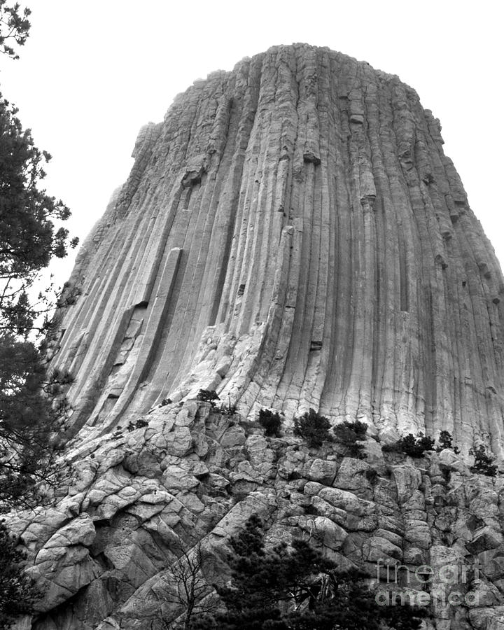 Devils Tower Up Close Photograph by Kimberly Blom-Roemer