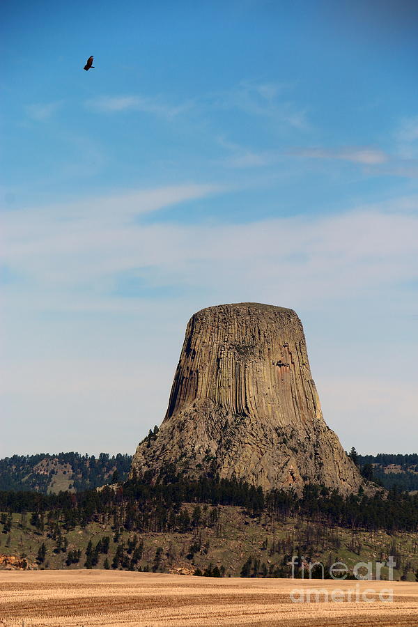 Devils Tower View Photograph by Christiane Schulze Art And Photography