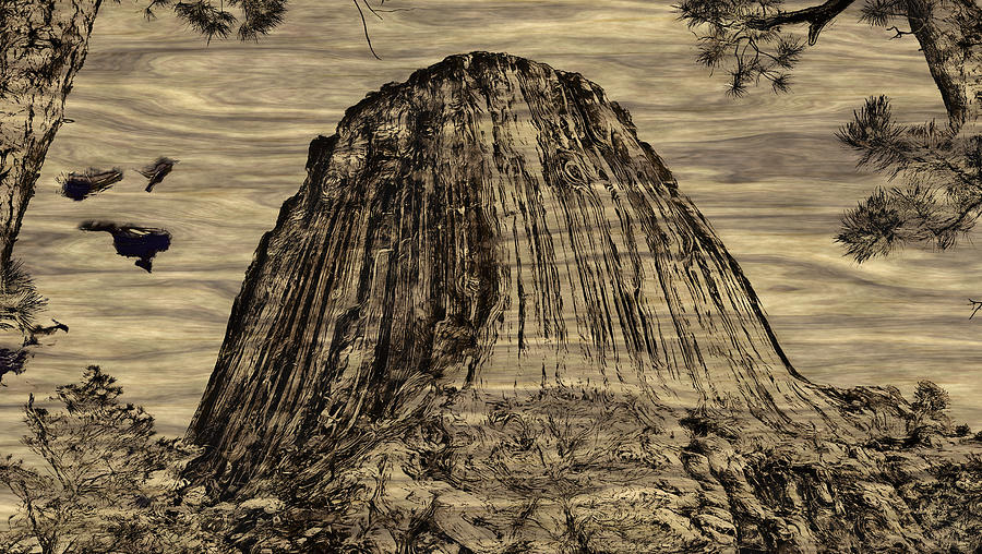 Devils Tower Woodburning Photograph by John M Bailey