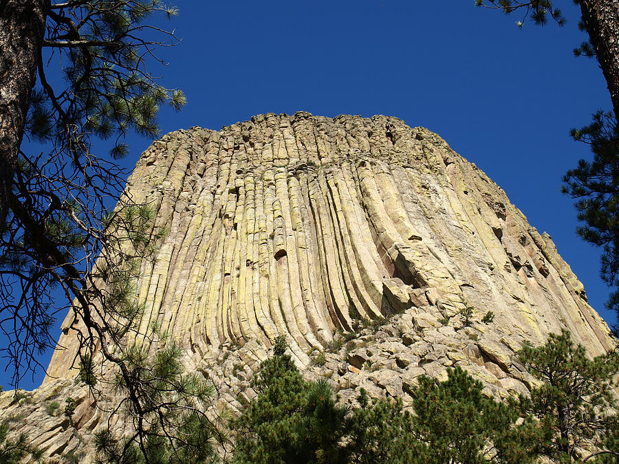 Devils Tower Wyoming Photograph by James Peterson