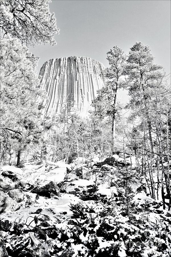 Devils Tower Wyoming Photograph by Merle Grenz