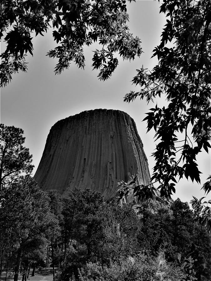 Devils Tower10 B W Photograph by Rob Hans