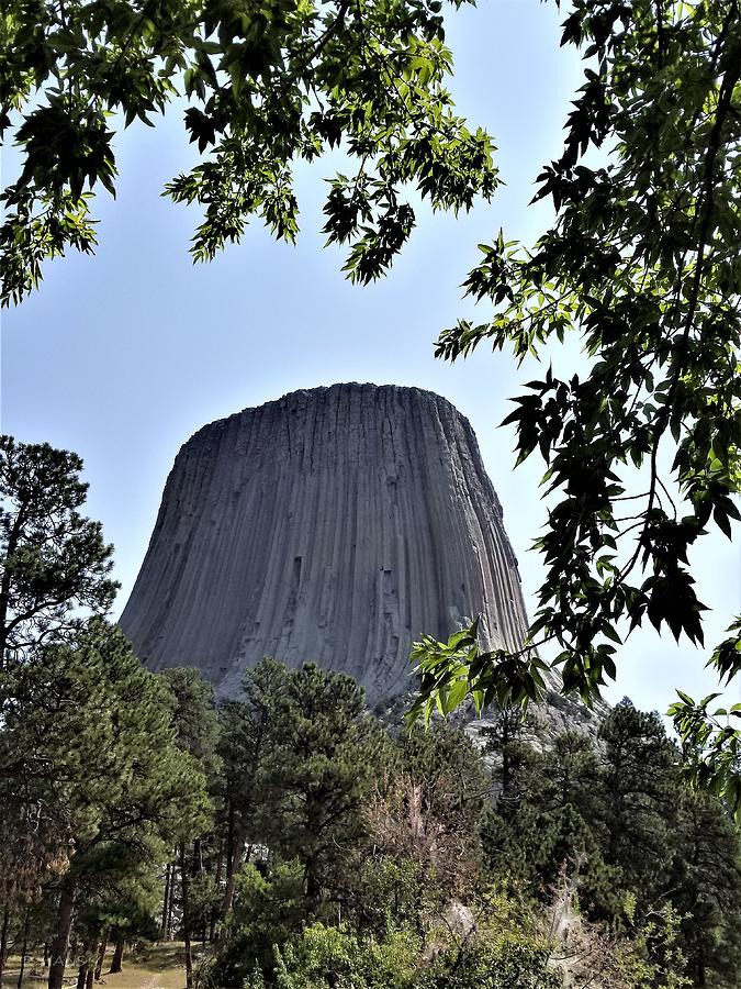 Devils Tower10 Photograph by Rob Hans