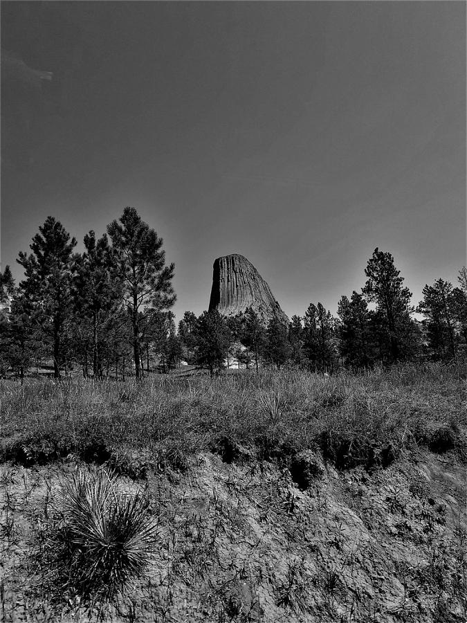 Devils Tower8 B W Photograph by Rob Hans