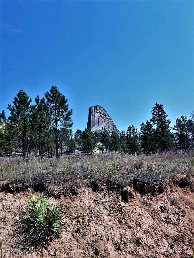 Devils Tower8 Photograph by Rob Hans