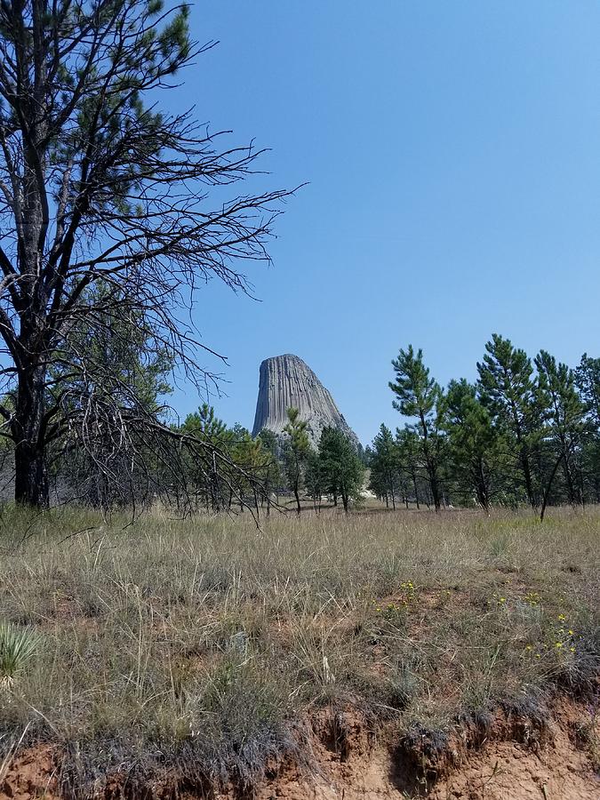 Devils Tower9 Photograph by Rob Hans