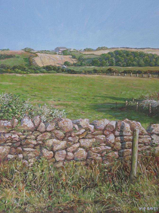 Summer Painting - Devon field and drystone wall by Martin Davey