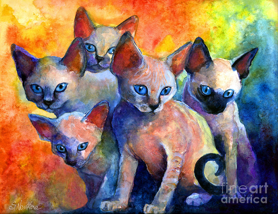 Animal Painting - Devon Rex kitten cats by Svetlana Novikova