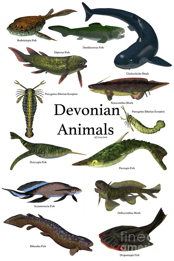 Devonian Animals Digital Art by Corey Ford