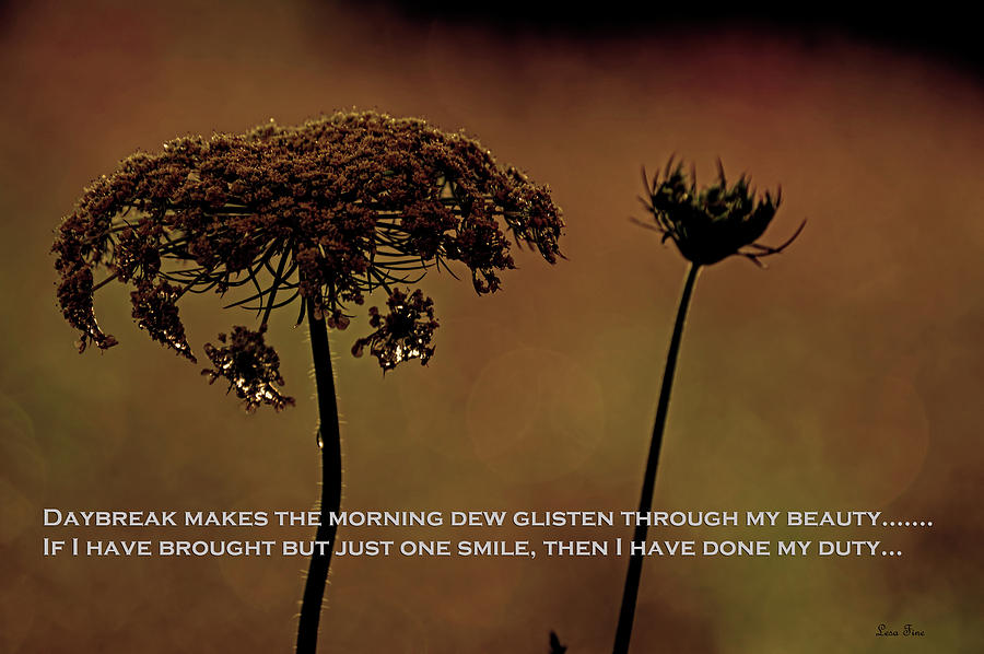Dew At Daybreak Poem Greeting Card Mixed Media by Lesa Fine