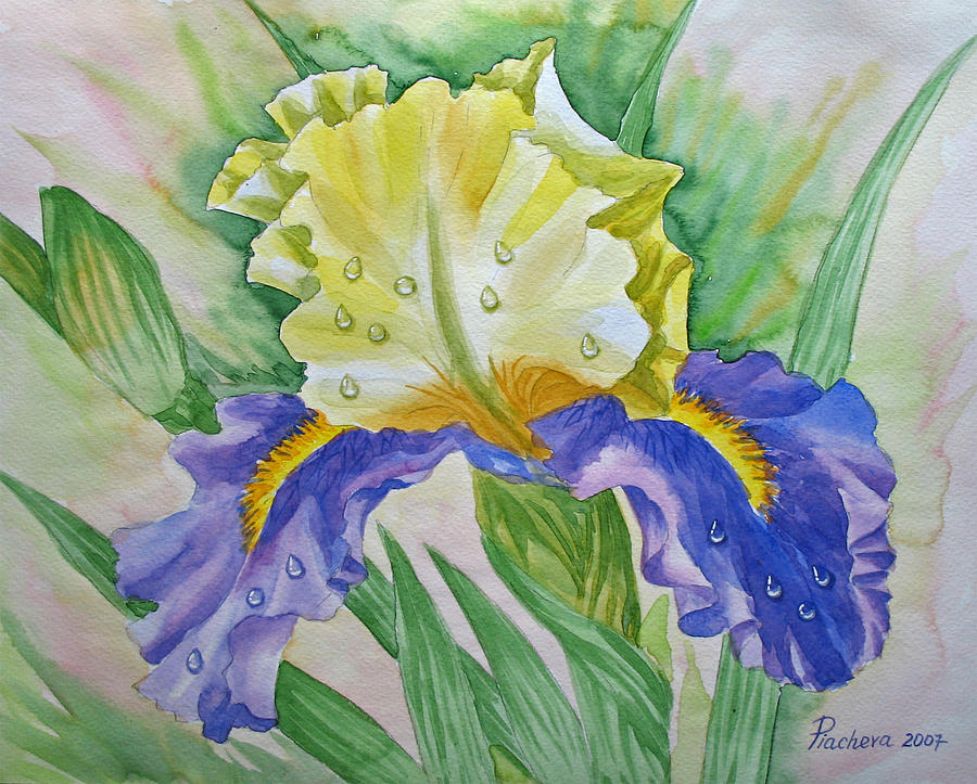 Flower Painting - Dew Drops Upon Iris.2007 by Natalia Piacheva