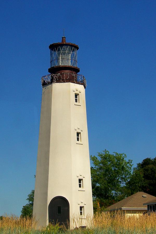 Dewey Beach Lighthouse Photograph by Trish Tritz