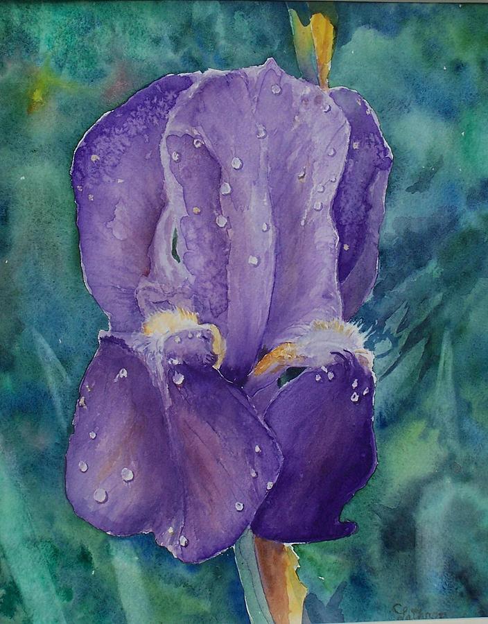 Dewey Iris Painting by Christine Lathrop
