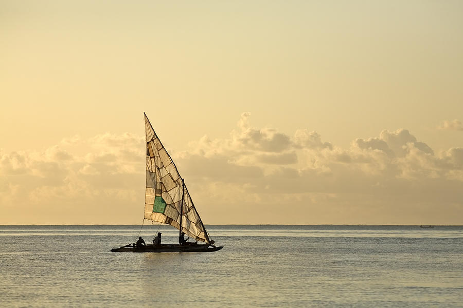 Dhow ride Photograph by David Taylor - Fine Art America