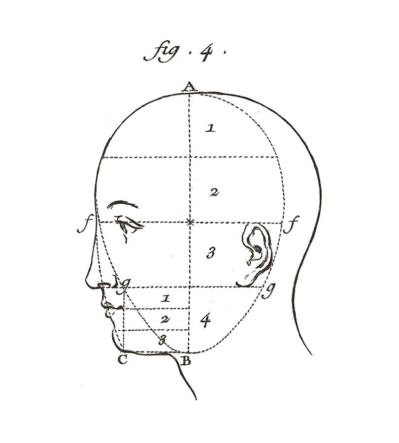 Diagram of a Head Antique Anatomy Digital Art by Village Antiques