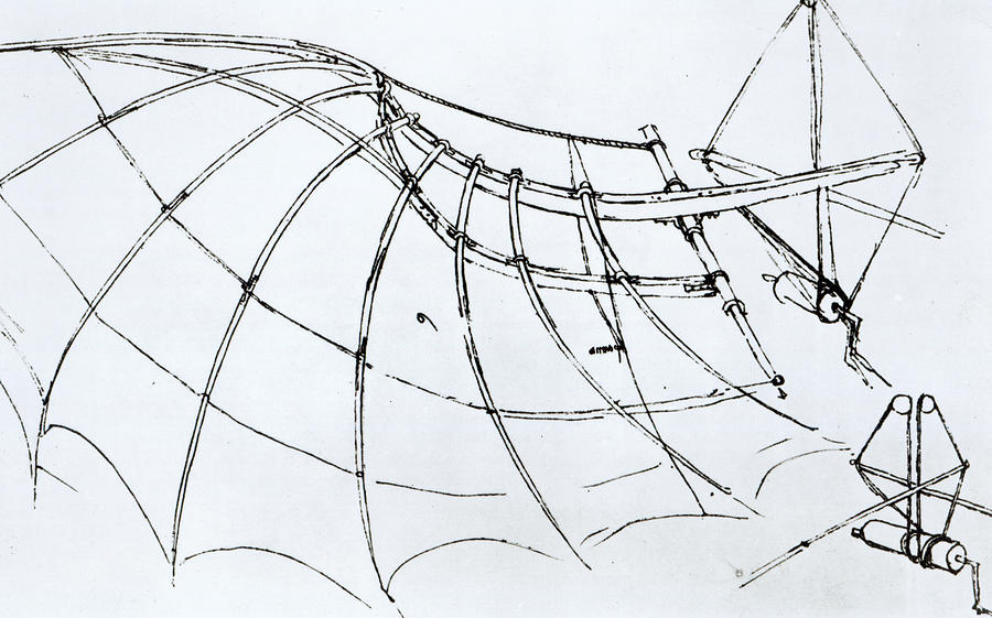 Leonardo Da Vinci Drawing - Diagram of a mechanical wing by Leonardo Da Vinci